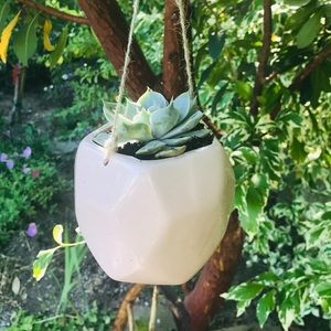 Light Pink Hanging Pot/Planter New